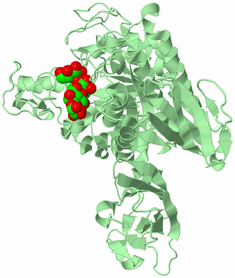 Image Biological Unit 2