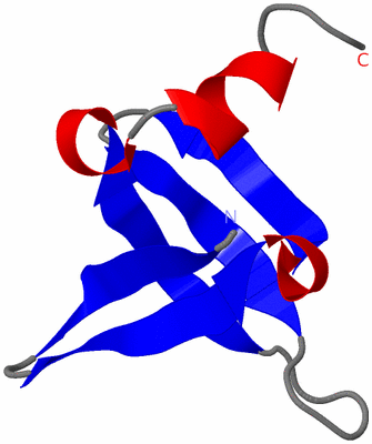 Image NMR Structure - model 1