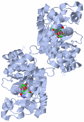 Image Biological Unit 1