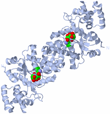 Image Biological Unit 2