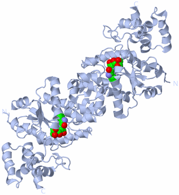 Image Biological Unit 2