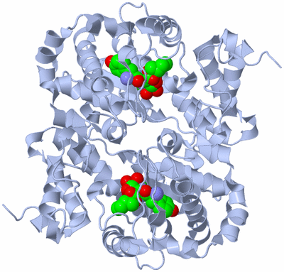 Image Biological Unit 1