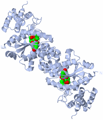 Image Biological Unit 2