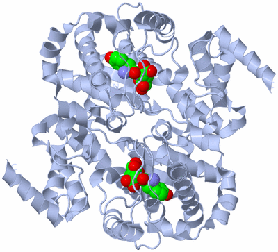 Image Biological Unit 1