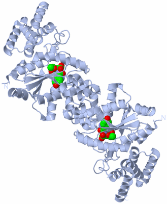 Image Biological Unit 2