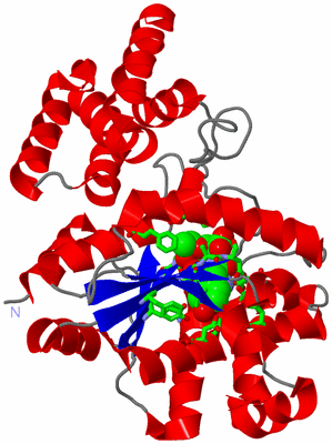 Image Asym. Unit - sites