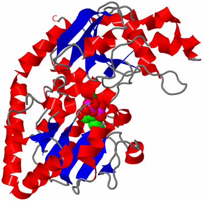 Image Asym./Biol. Unit