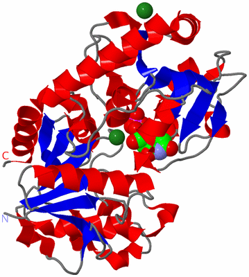 Image Asym./Biol. Unit