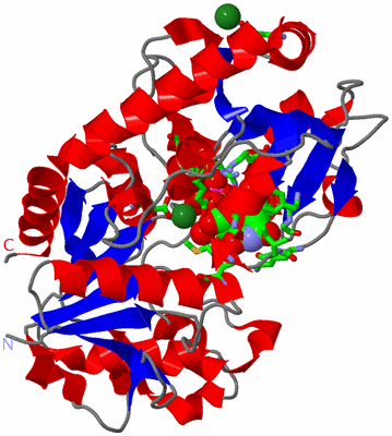 Image Asym./Biol. Unit - sites