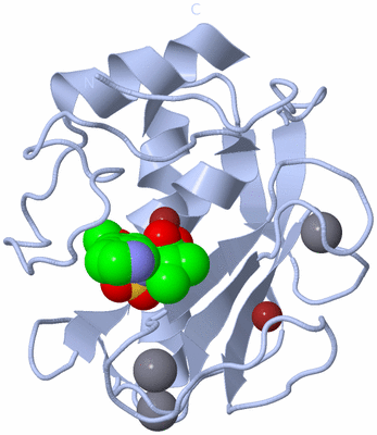 Image Biological Unit 1