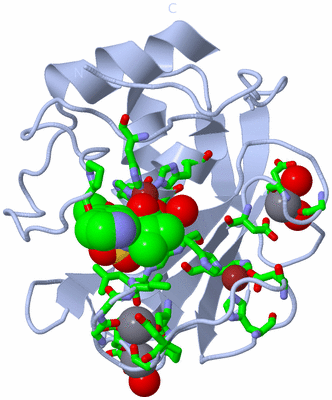 Image Biol. Unit 1 - sites