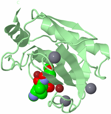 Image Biological Unit 2