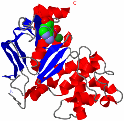 Image Asym./Biol. Unit