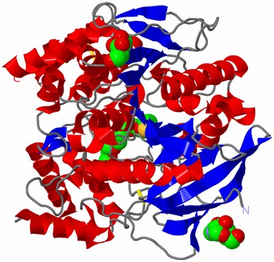 Image Asym./Biol. Unit