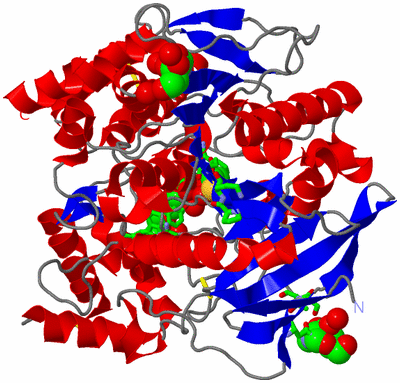 Image Asym./Biol. Unit - sites