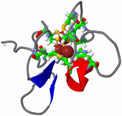 Image NMR Structure - model 1, sites