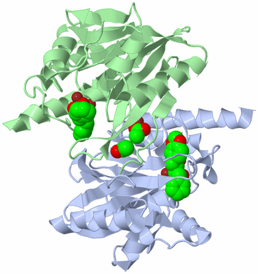 Image Biological Unit 3