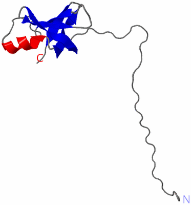 Image NMR Structure - model 1