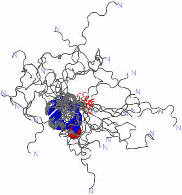 Image NMR Structure - all models