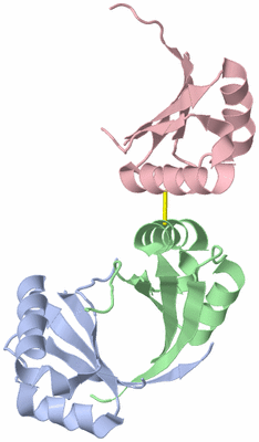 Image Asymmetric Unit