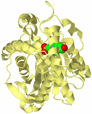 Image Biological Unit 4