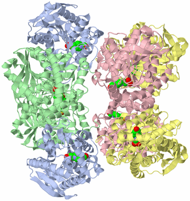 Image Biological Unit 5