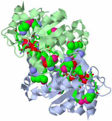 Image Biol. Unit 1 - sites