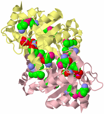 Image Biological Unit 2