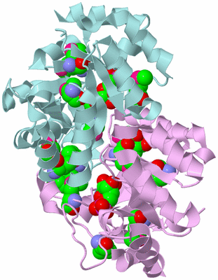 Image Biological Unit 3