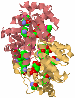 Image Biological Unit 4