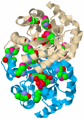 Image Biological Unit 5