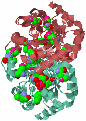 Image Biological Unit 6