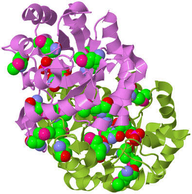 Image Biological Unit 7