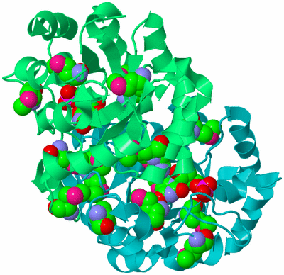 Image Biological Unit 8