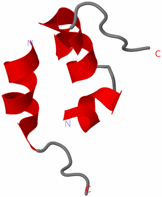 Image NMR Structure - model 1