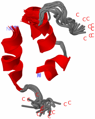 Image NMR Structure - all models