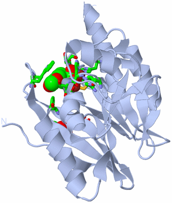 Image Biol. Unit 1 - sites