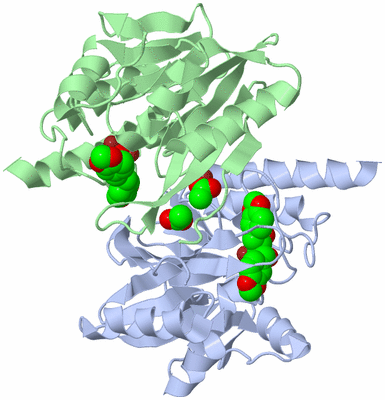 Image Biological Unit 3