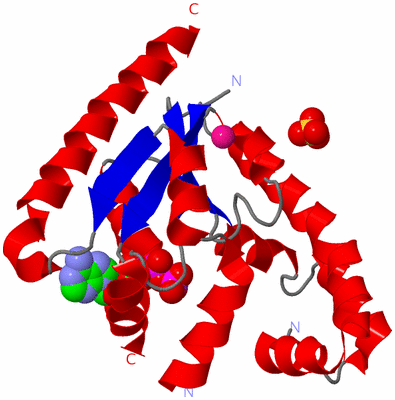 Image Asym./Biol. Unit