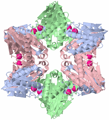 Image Biological Unit 1