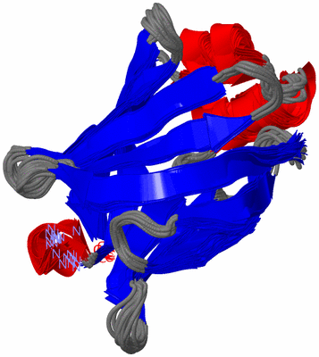 Image NMR Structure - all models