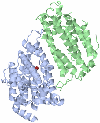 Image Asym./Biol. Unit