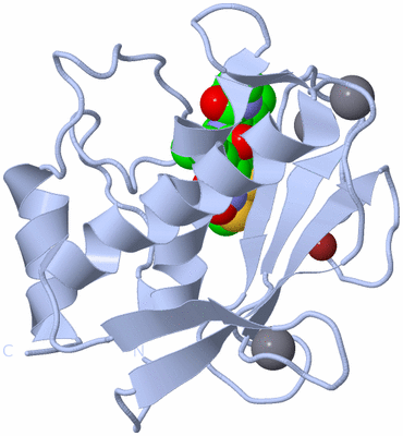 Image Biological Unit 1