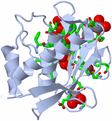 Image Biol. Unit 1 - sites