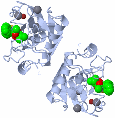 Image Biological Unit 3