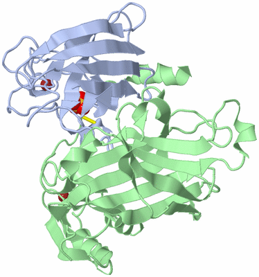 Image Biological Unit 1