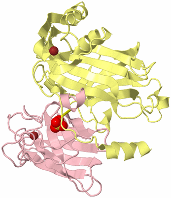 Image Biological Unit 2