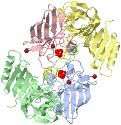 Image Biological Unit 3