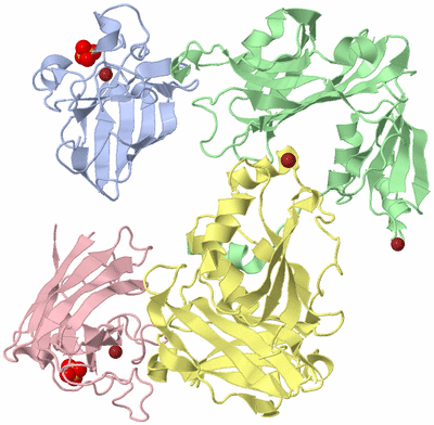 Image Biological Unit 4