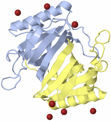 Image Biological Unit 1